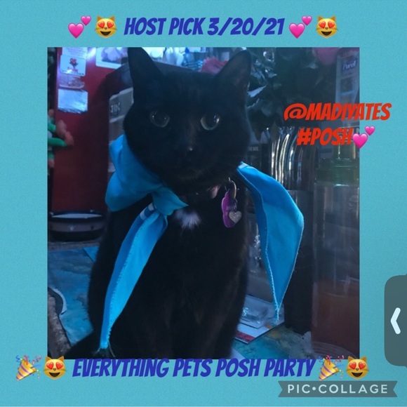 Pet/ human Bandana Poshfixings Exclusive New - Picture 9 of 12